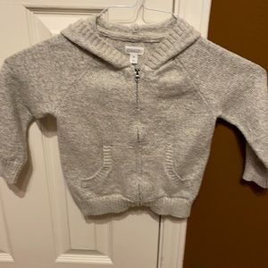 Gymboree sweater from 2018